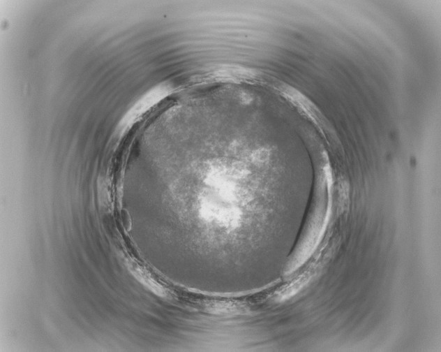 X0000087691018200705251703