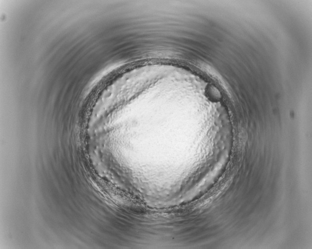 X0000087691019200705251703