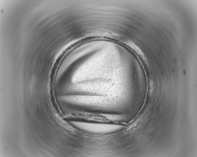 X0000087691020200705251703