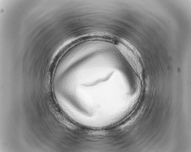 X0000087691021200705251703