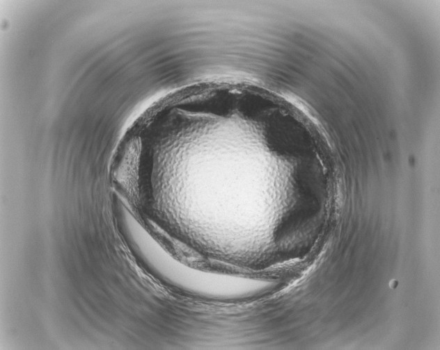 X0000087691022200705251703