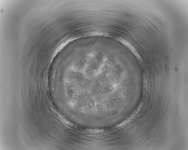 X0000087691023200705251703