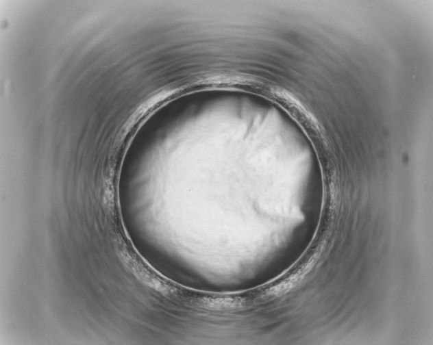 X0000087691025200705251703