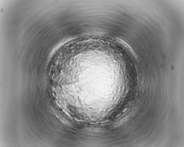 X0000087691027200705251703