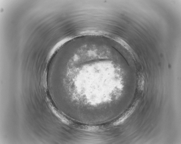 X0000087691030200705251703