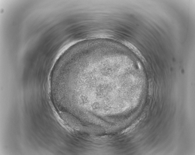 X0000087691031200705251703