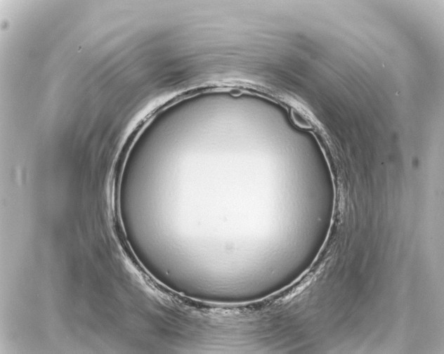 X0000087691032200705251703