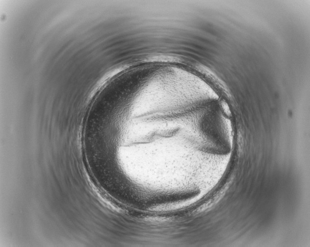 X0000087691033200705251703