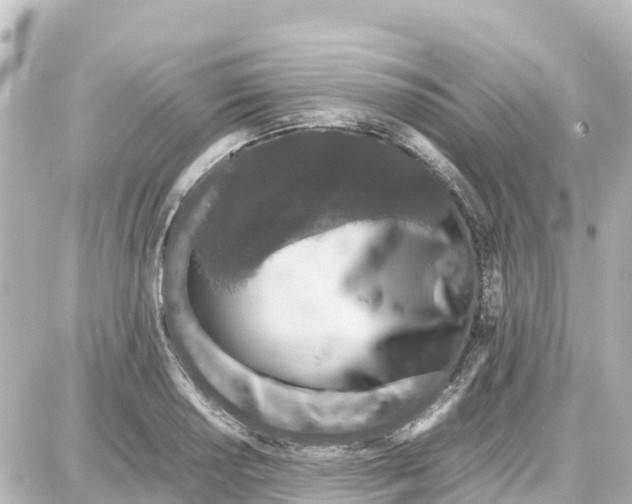 X0000087691034200705251703