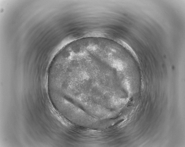 X0000087691035200705251703