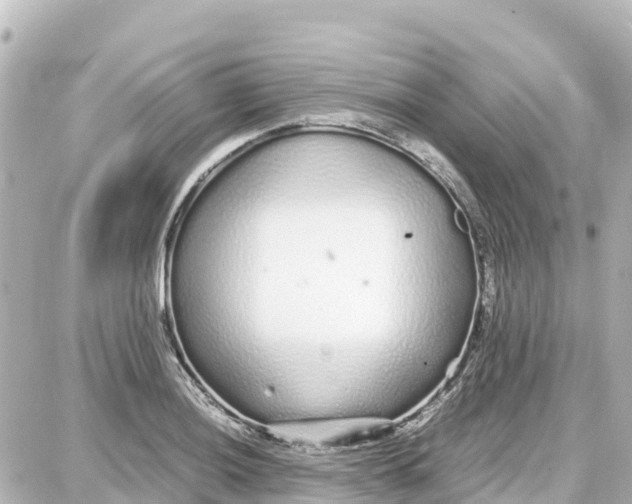 X0000087691036200705251703