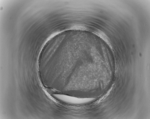 X0000087691037200705251703