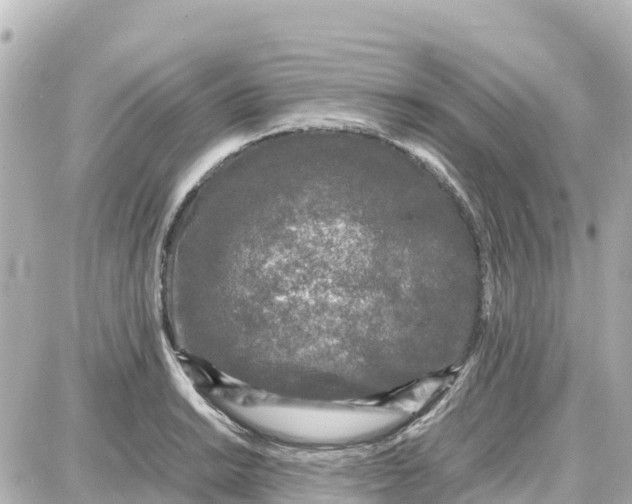 X0000087691038200705251703