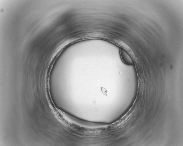 X0000087691039200705251703