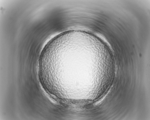 X0000087691040200705251703