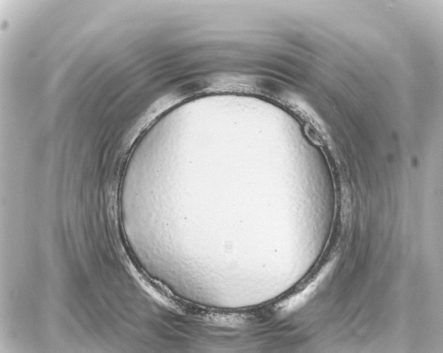 X0000087691041200705251704