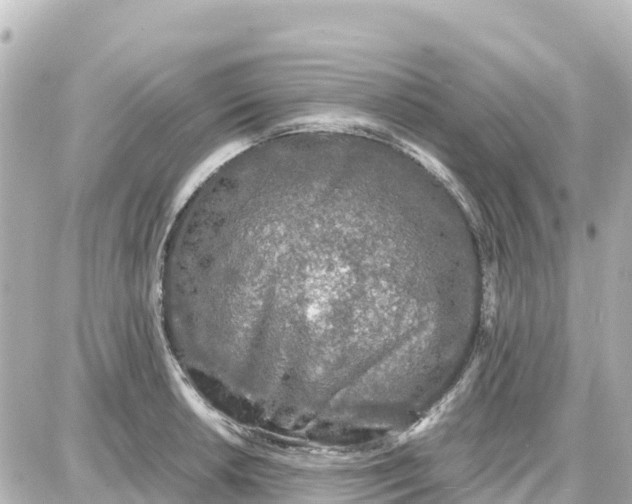 X0000087691042200705251704