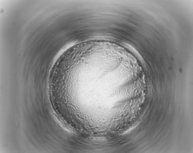 X0000087691043200705251704