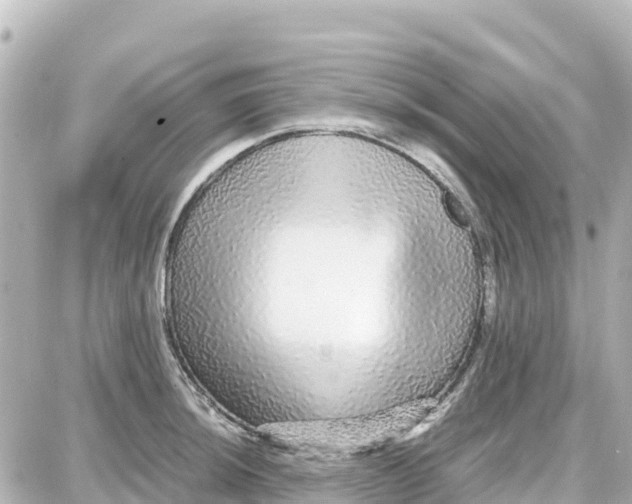 X0000087691044200705251704