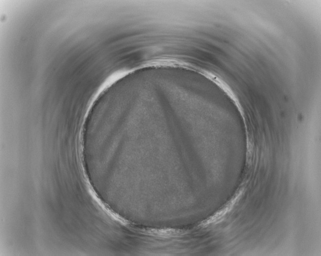 X0000087691045200705251704