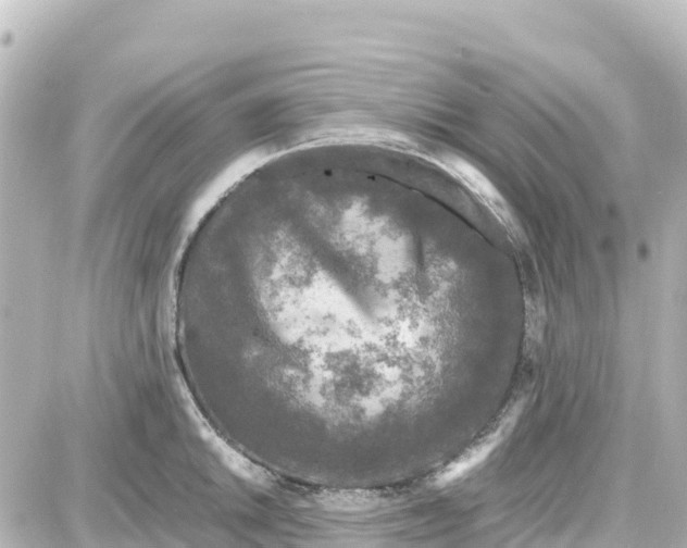 X0000087691046200705251704