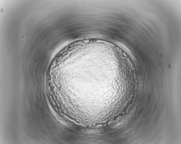 X0000087691047200705251704