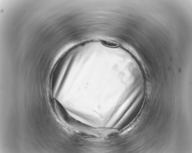 X0000087691048200705251704