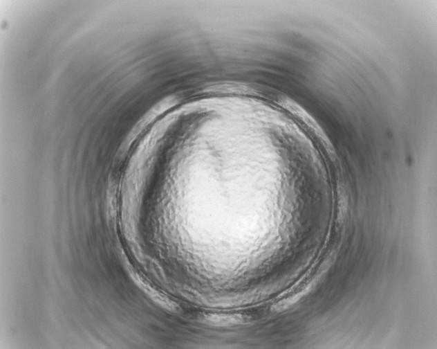 X0000087691049200705251704