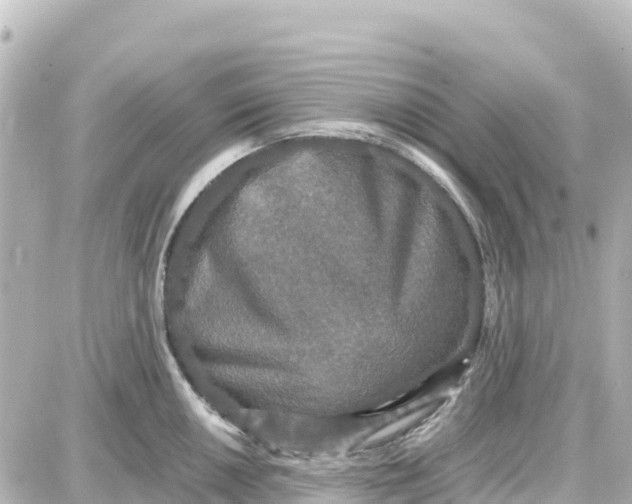 X0000087691050200705251704