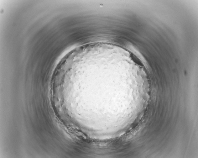 X0000087691051200705251704