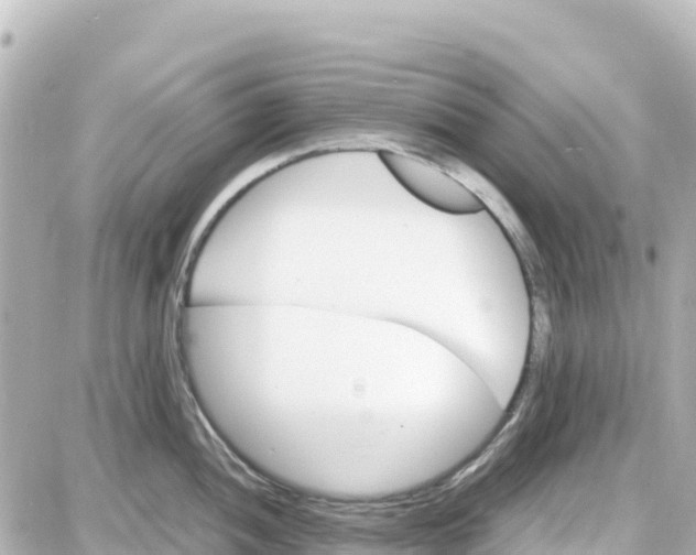 X0000087691052200705251704