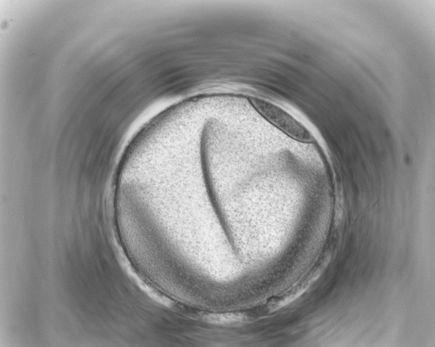 X0000087691053200705251704