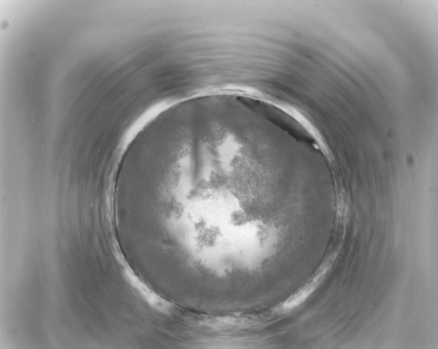 X0000087691054200705251704