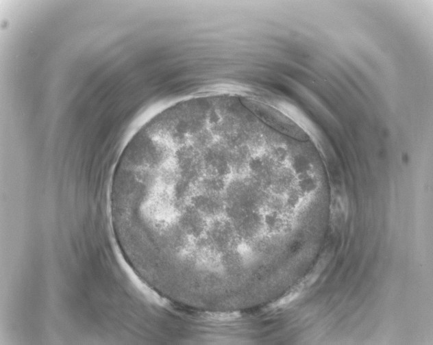 X0000087691055200705251704