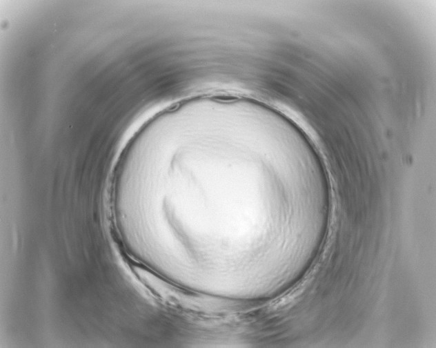 X0000087691056200705251704