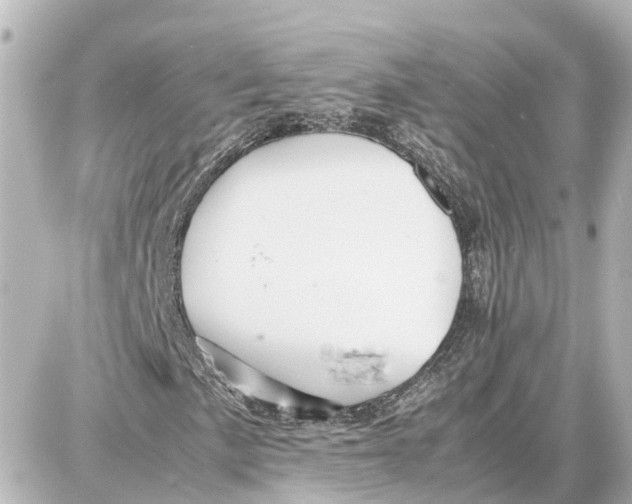 X0000087691057200705251703