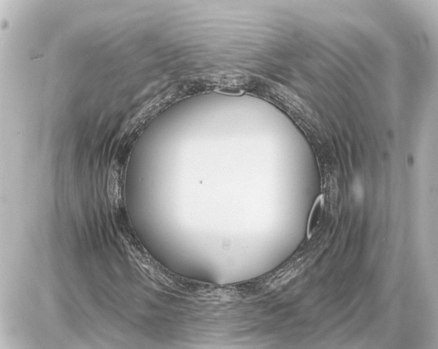 X0000087691058200705251703