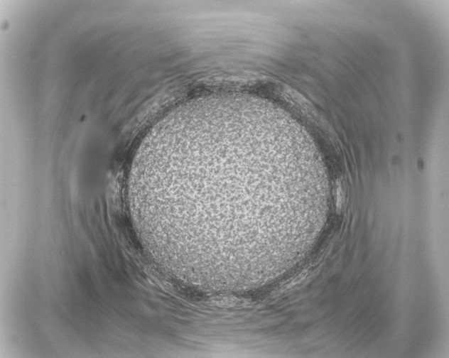 X0000087691059200705251703