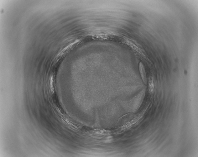 X0000087691060200705251703