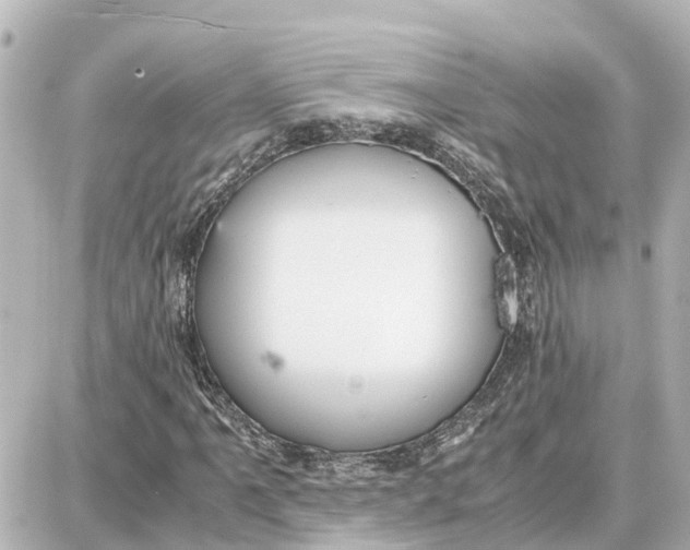 X0000087691061200705251703