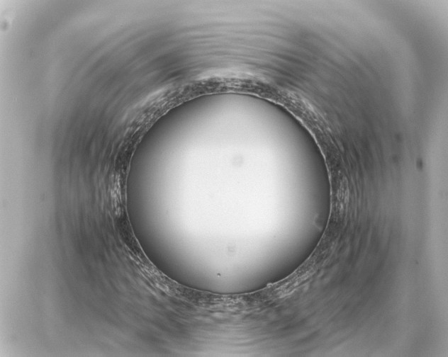 X0000087691062200705251703