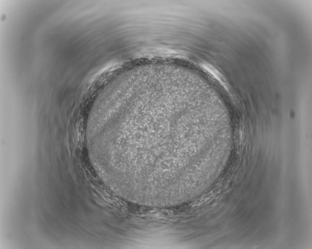 X0000087691063200705251703