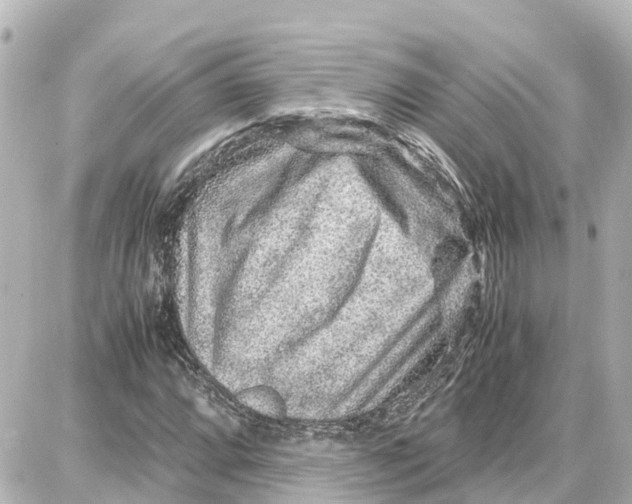 X0000087691064200705251703