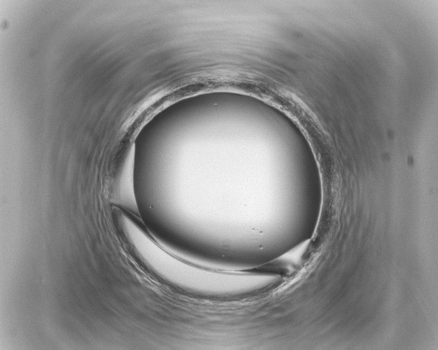 X0000087691065200705251703