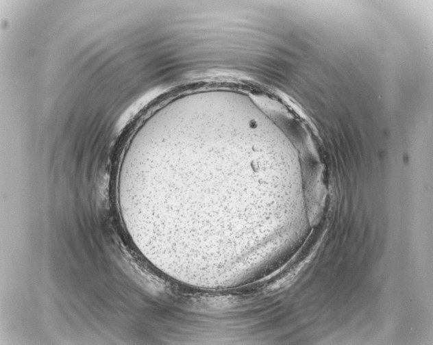 X0000087691066200705251703