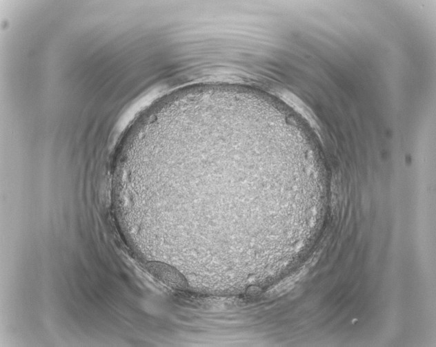 X0000087691067200705251703