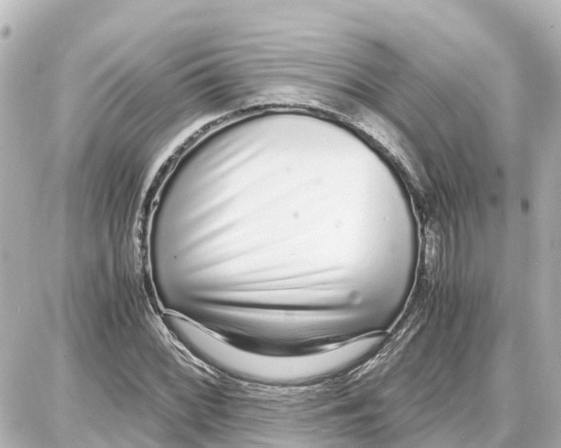 X0000087691068200705251703