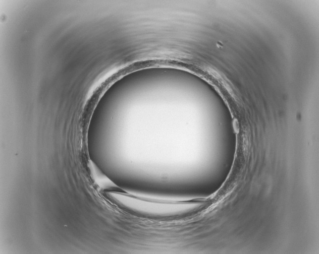 X0000087691069200705251703