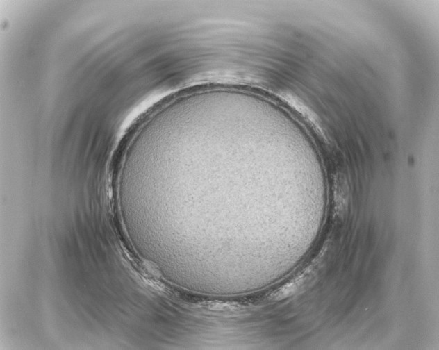 X0000087691070200705251703