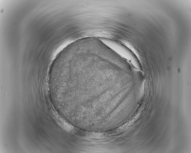 X0000087691071200705251703